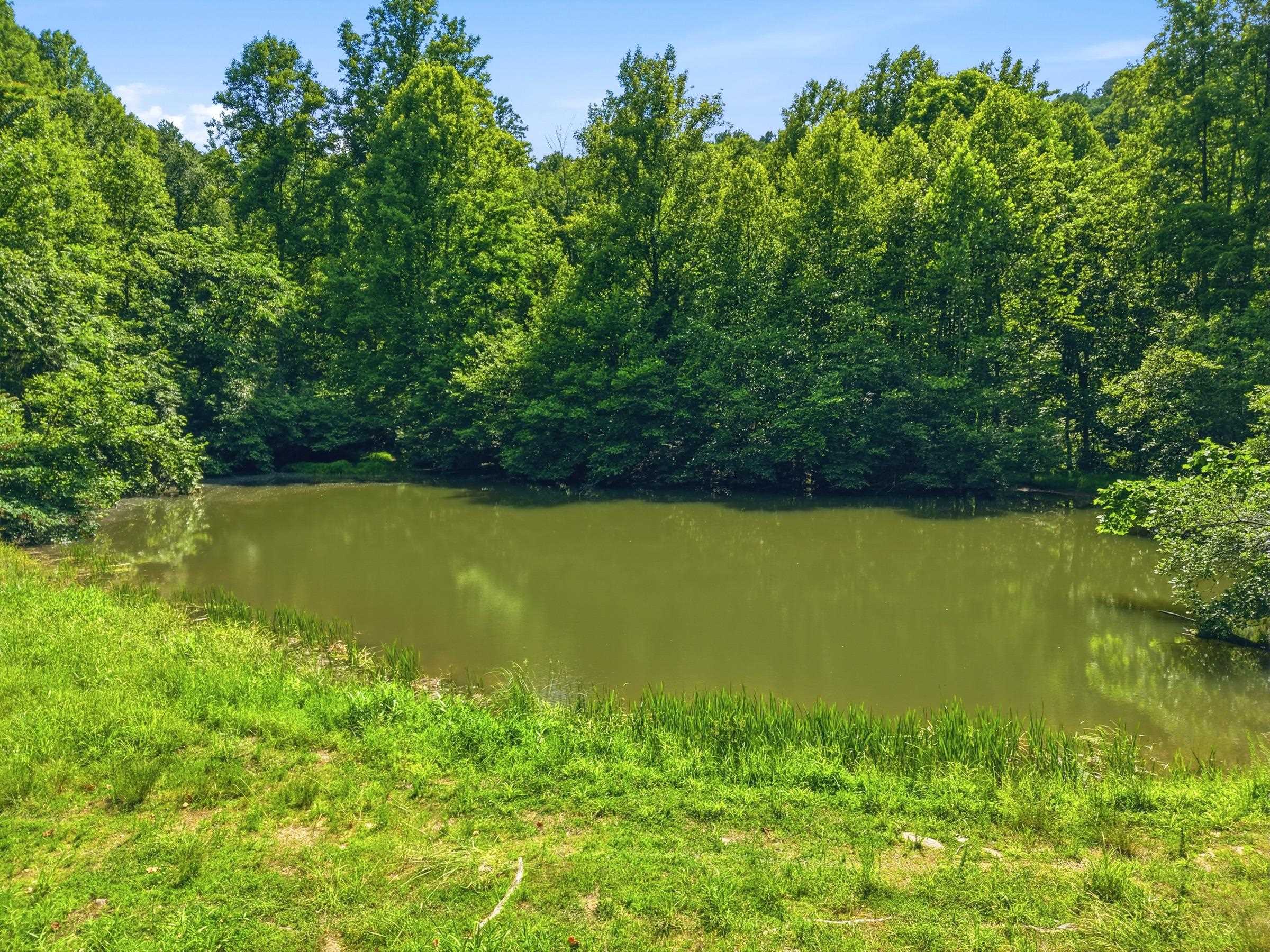 Jordan Hollow Road Stanley, VA 22851 - Photo 3 of 26