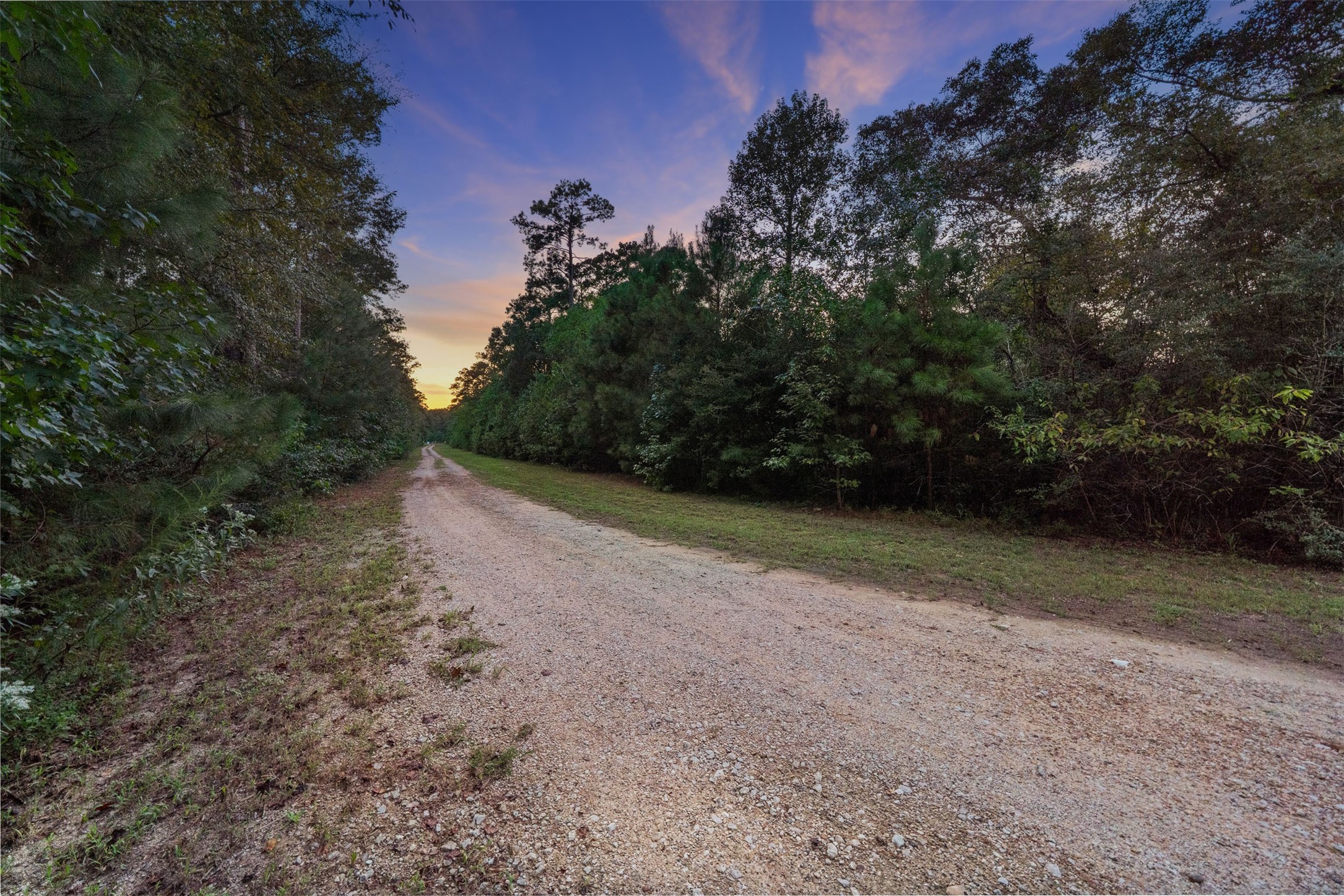 6970 Longmire Road Conroe, TX 77304 - Photo 45 of 48 Gallery Image 45