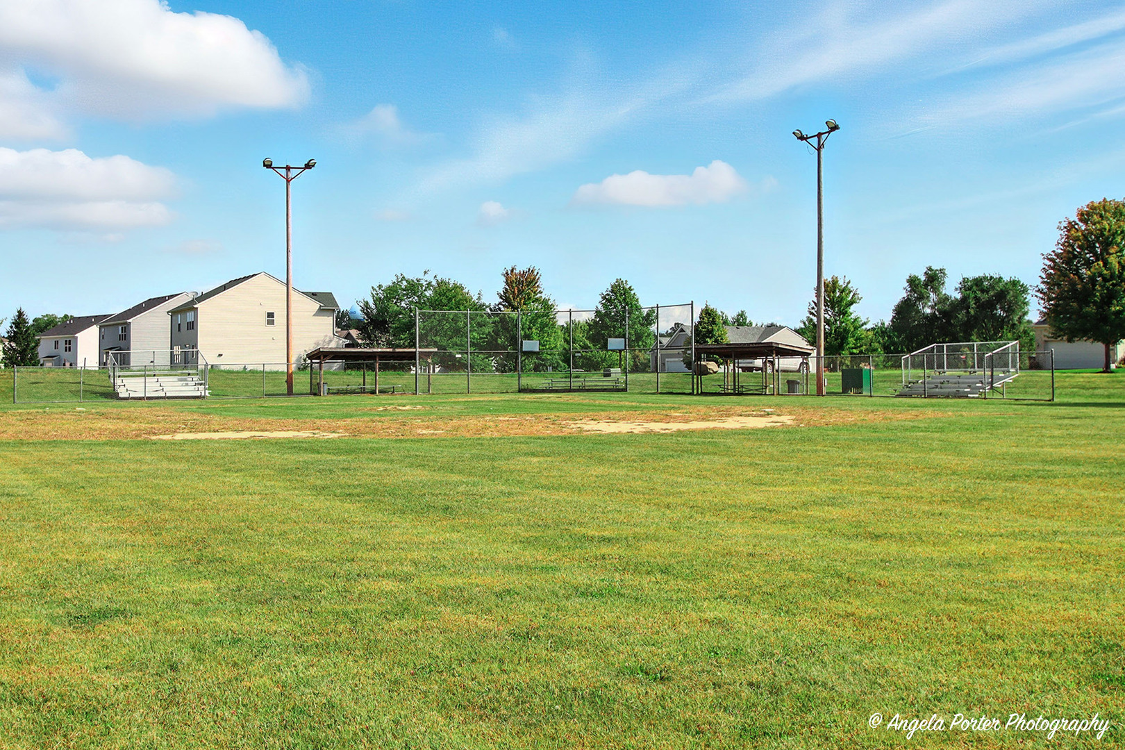10910 Partridge Trail Richmond, IL 60071 - Photo 53 of 62 a view of a big yard with palm trees