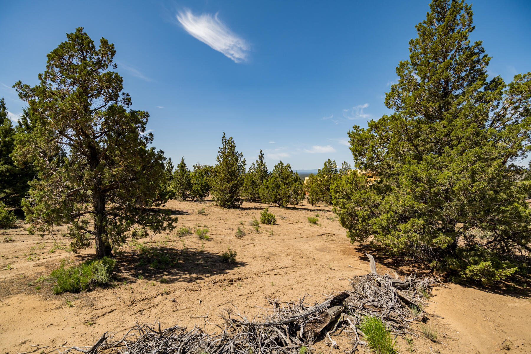 Lot 81 Southwest Brasada Ranch Road Powell Butte, OR 97753 - Photo 14 of 22 JH5_0532