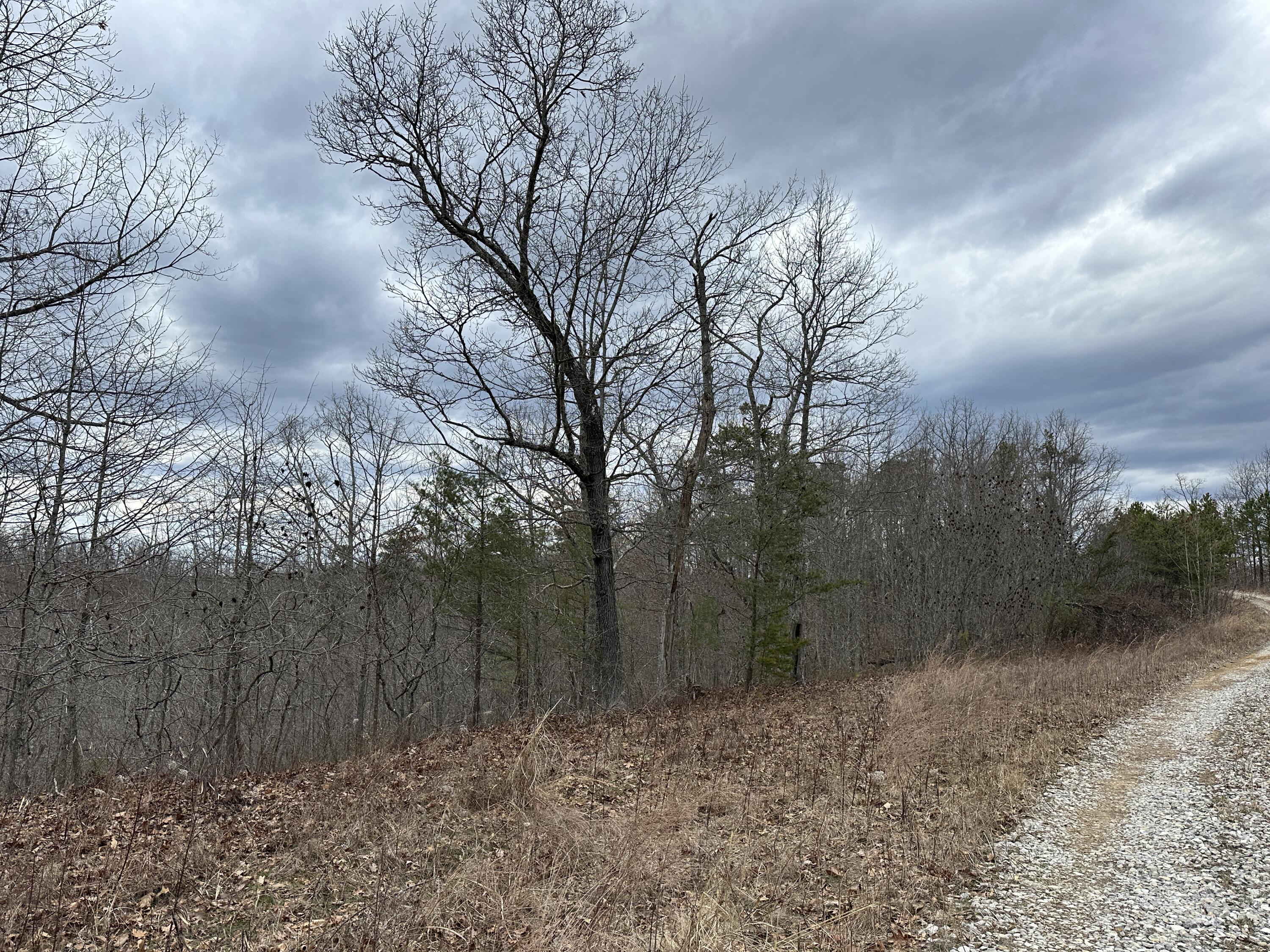 11 Williams Creek Road Rush, KY 41168 - Photo 18 of 42 17