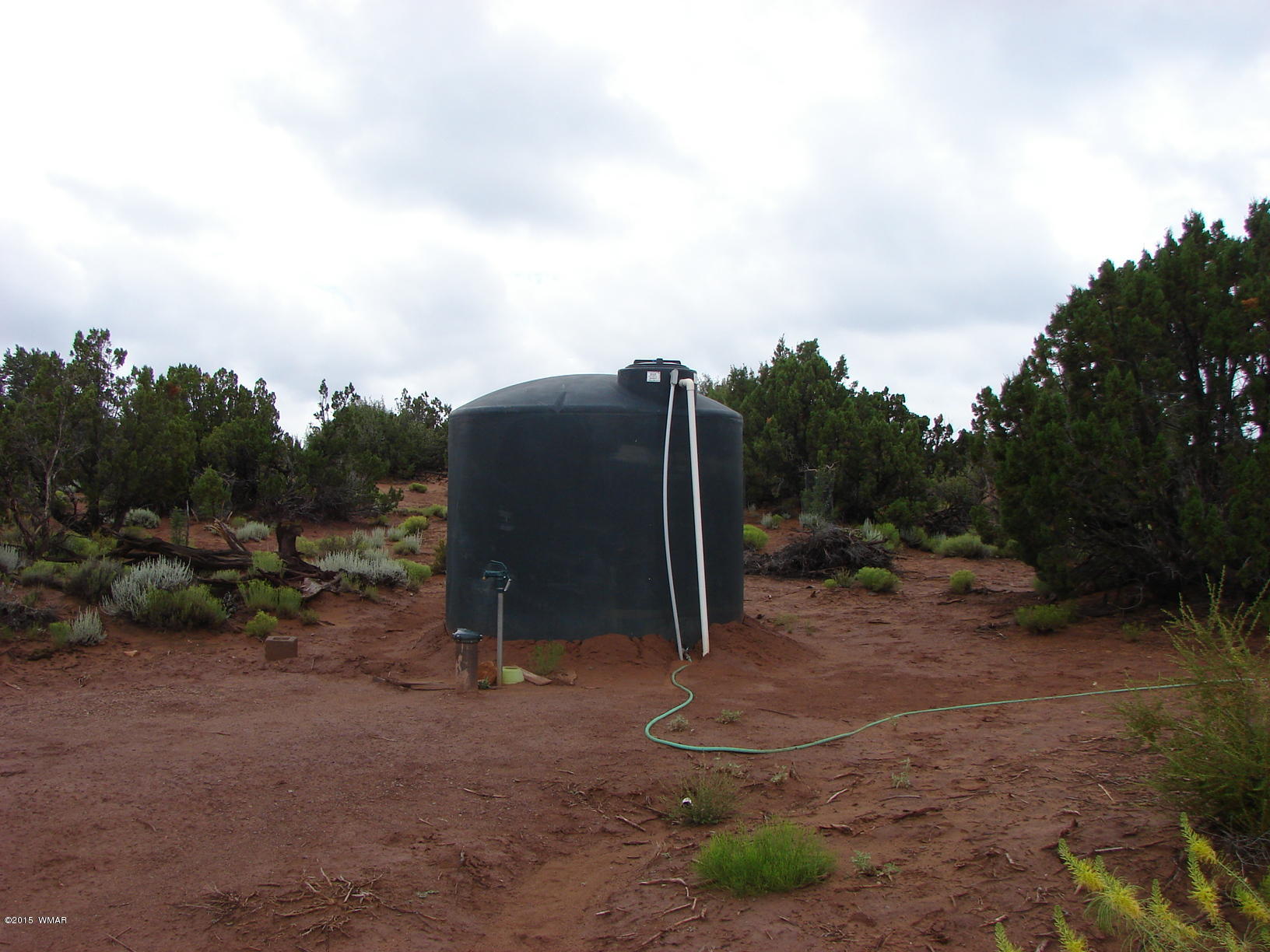Ranch Of Ranch Of White Mountains Snowflake, AZ 85937 - Photo 2 of 12