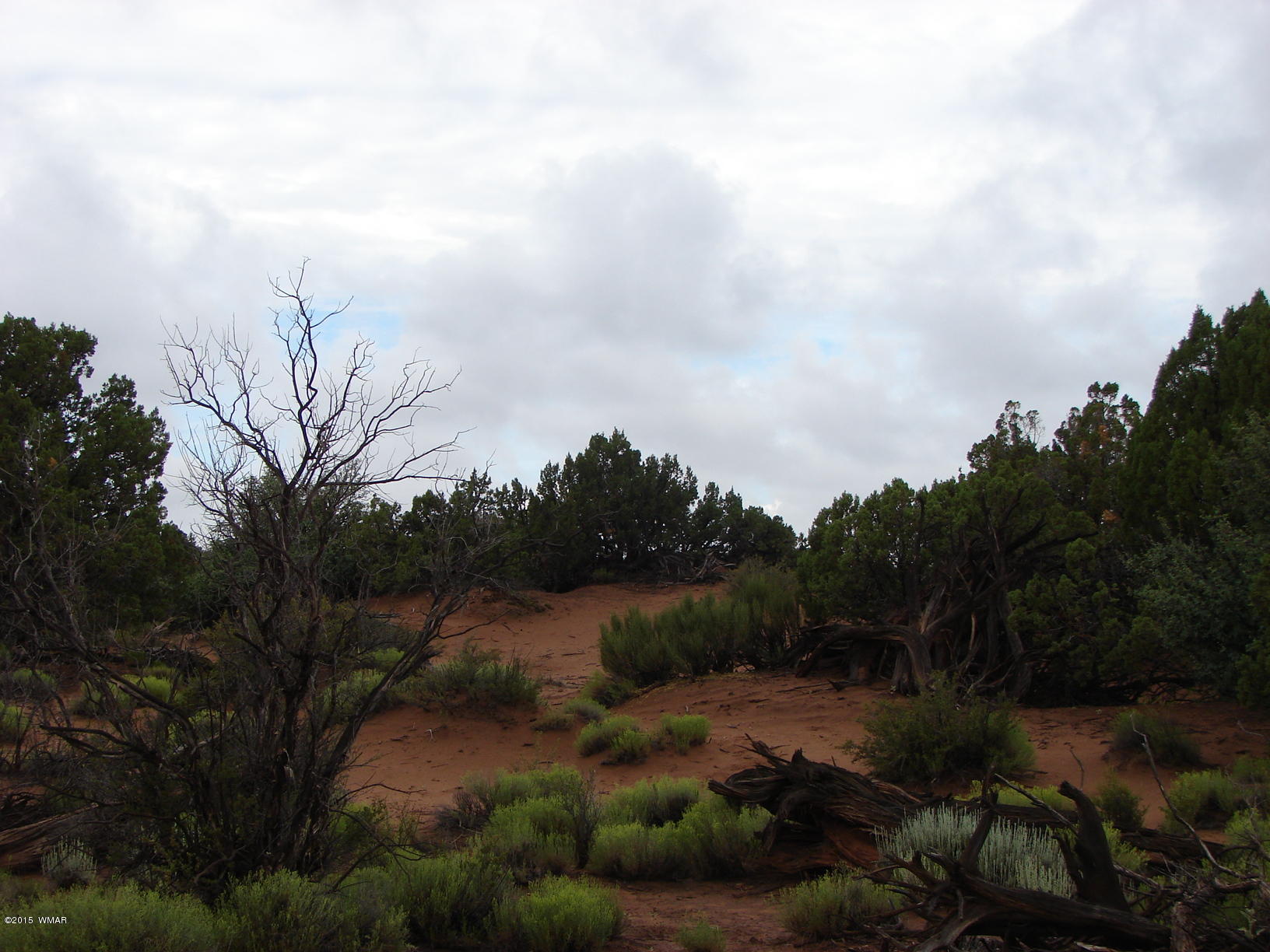 Ranch Of Ranch Of White Mountains Snowflake, AZ 85937 - Photo 3 of 12