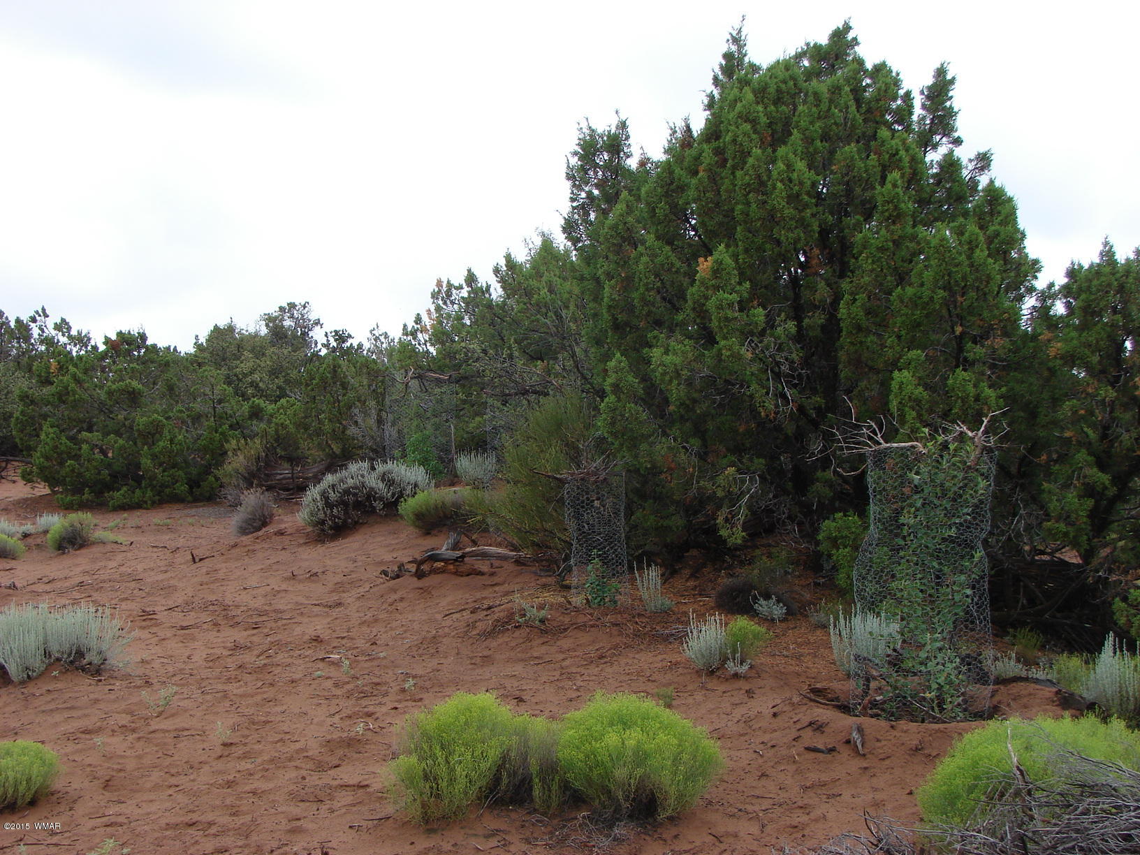 Ranch Of Ranch Of White Mountains Snowflake, AZ 85937 - Photo 6 of 12