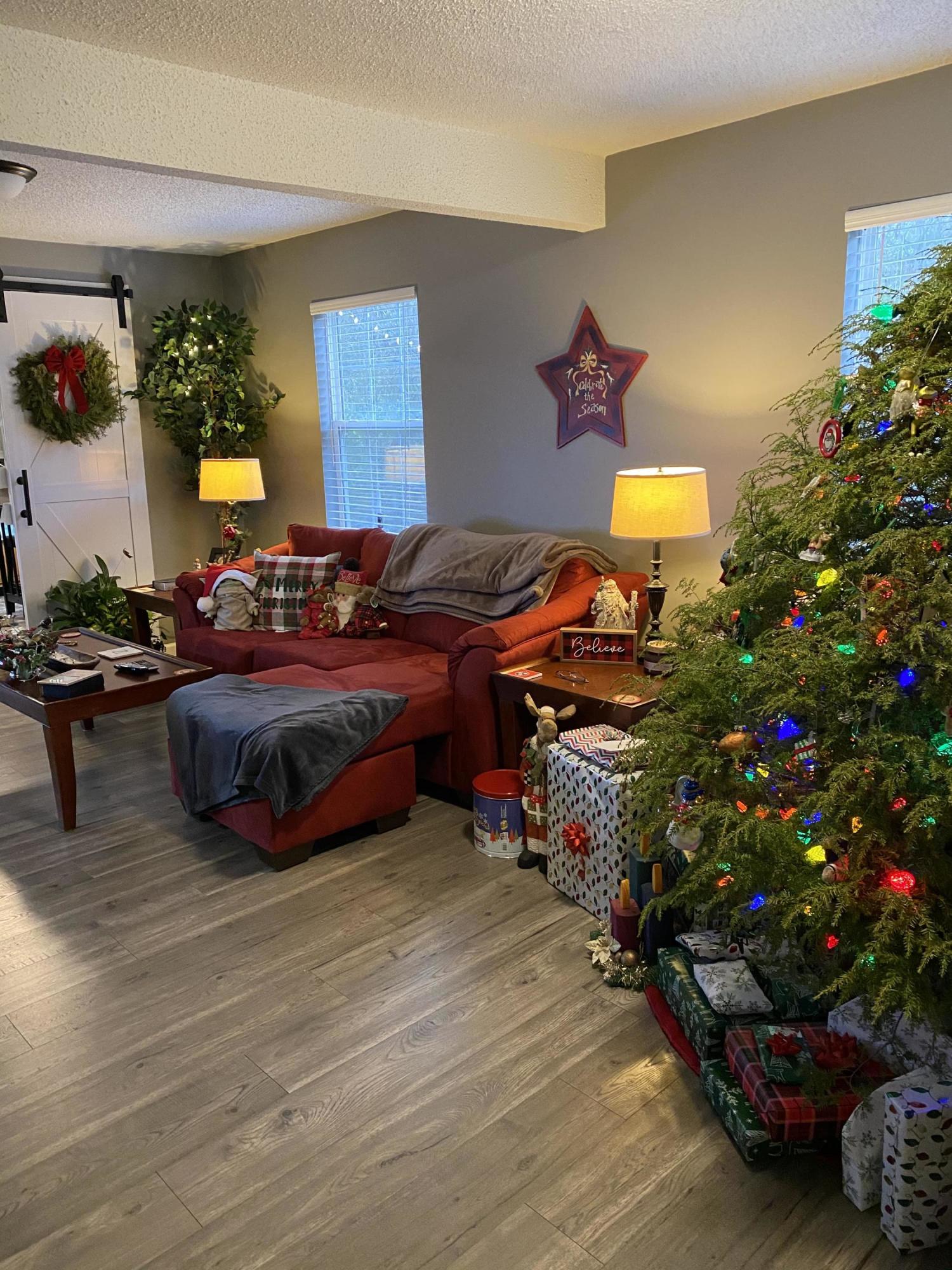 232 Coppinger Cove Road Sequatchie, TN 37374 - Photo 4 of 16 Living room