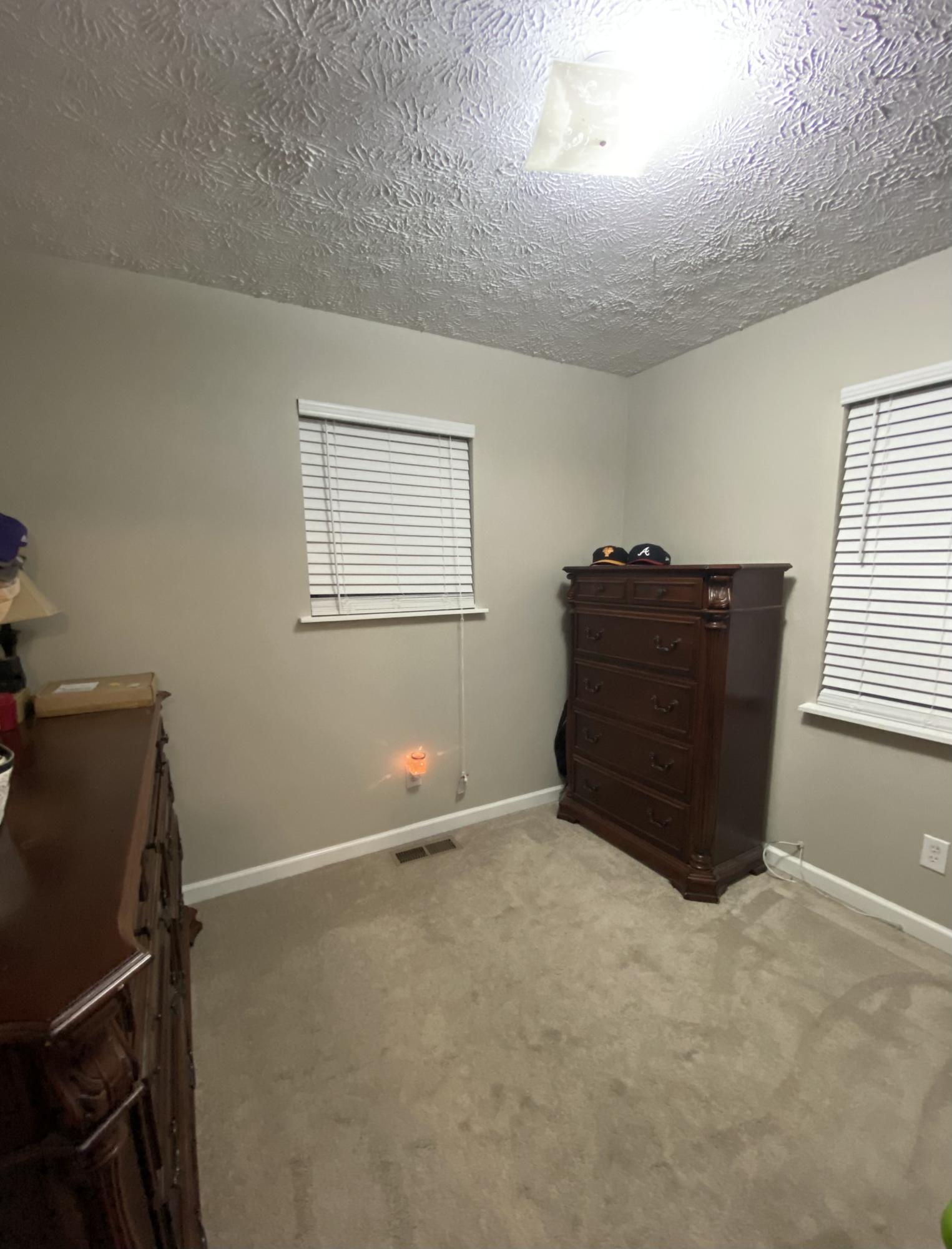 232 Coppinger Cove Road Sequatchie, TN 37374 - Photo 8 of 16 Bedroom #2