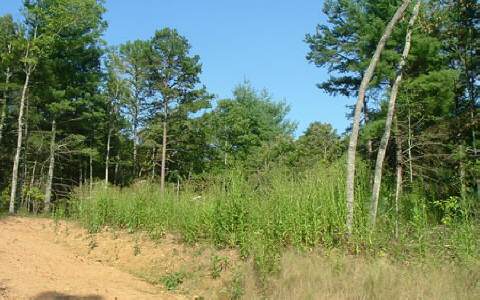Lot48 Rising Fawn Lane Murphy, NC 28906 - Photo 1 of 1