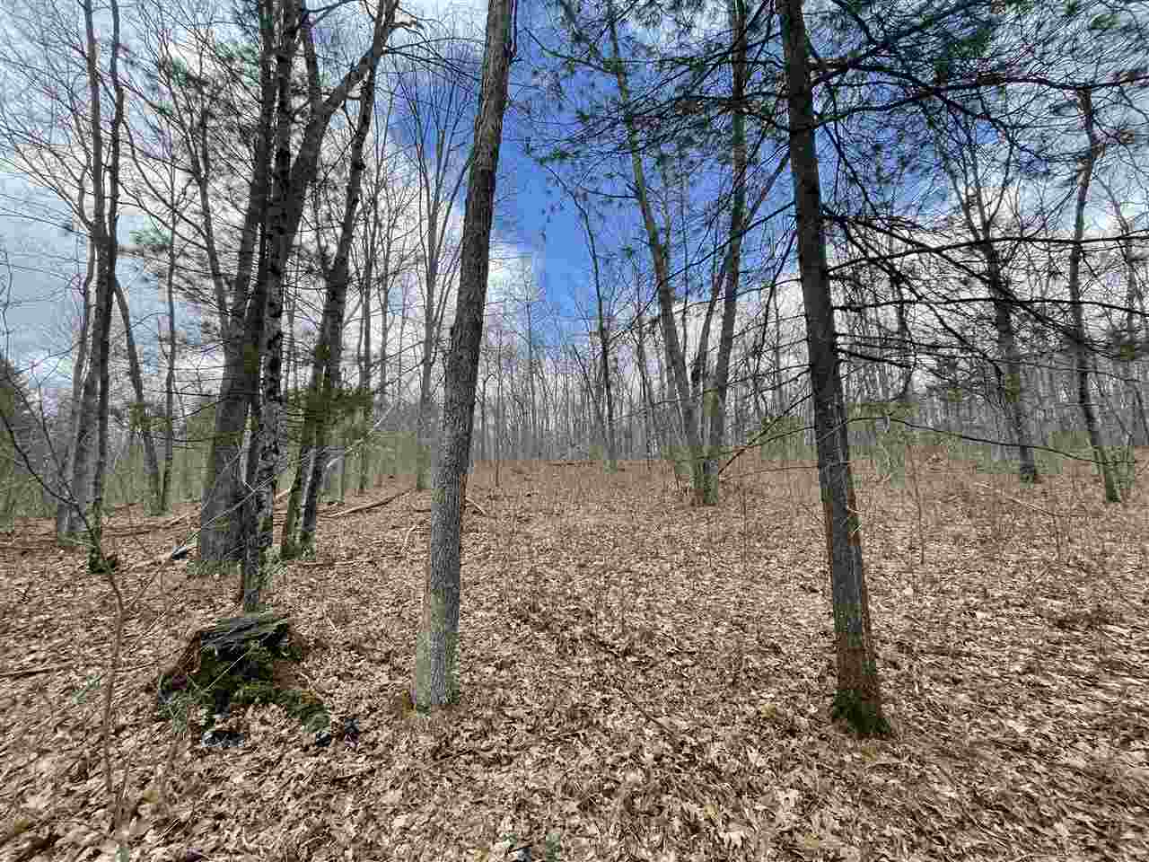 20 East A E Decker Rd Branch Branch, MI 49402 - Photo 8 of 31