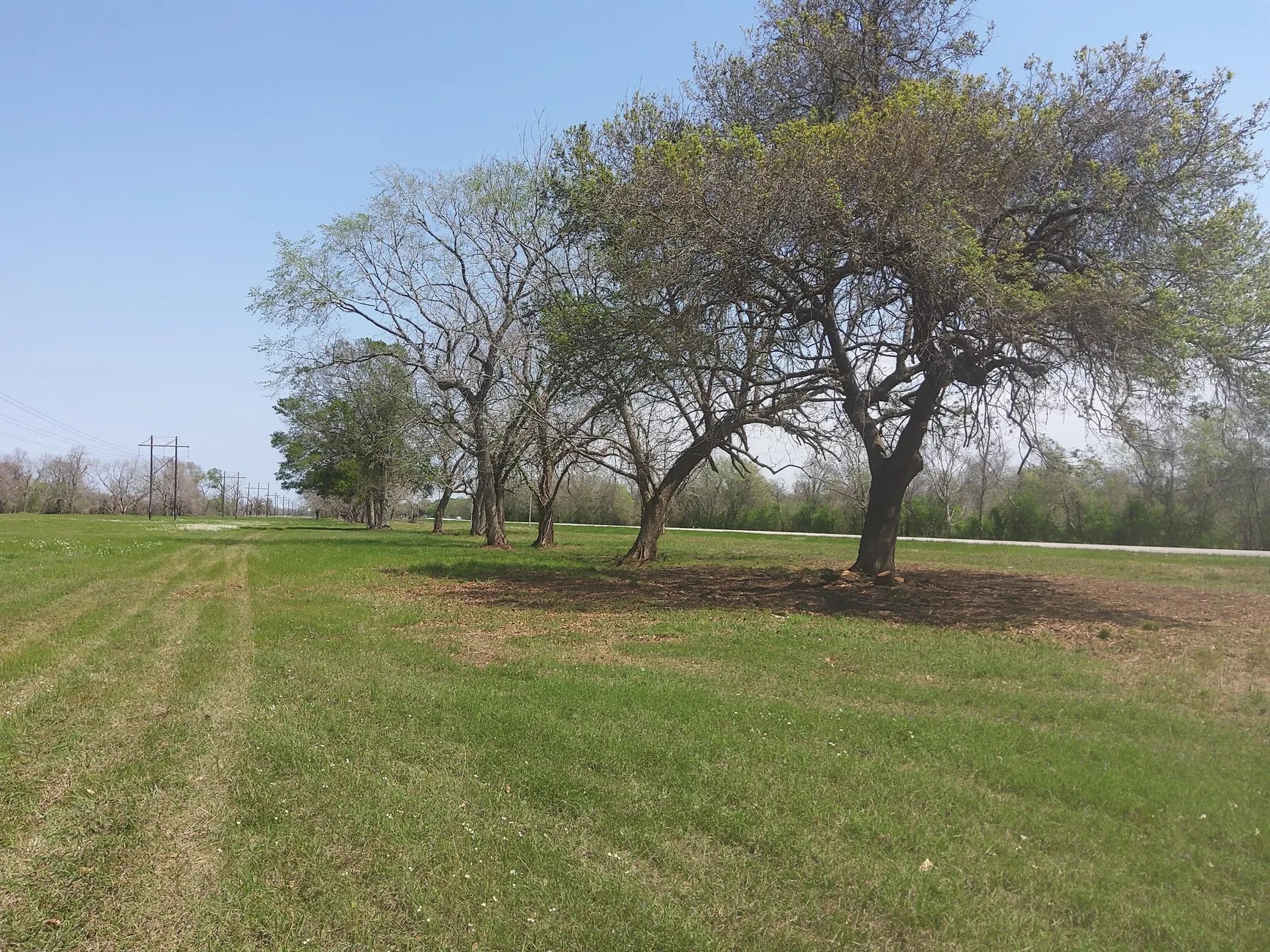 Lot 2 Fm 521 Angleton, TX 77515 - Photo 6 of 26