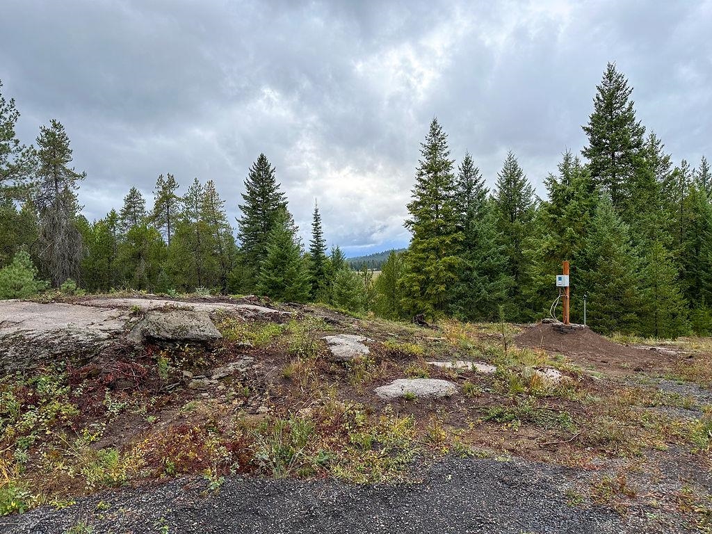 121 North Shore Diamond Lake Road Newport, WA 99156 - Photo 8 of 29 Gallery Image 8