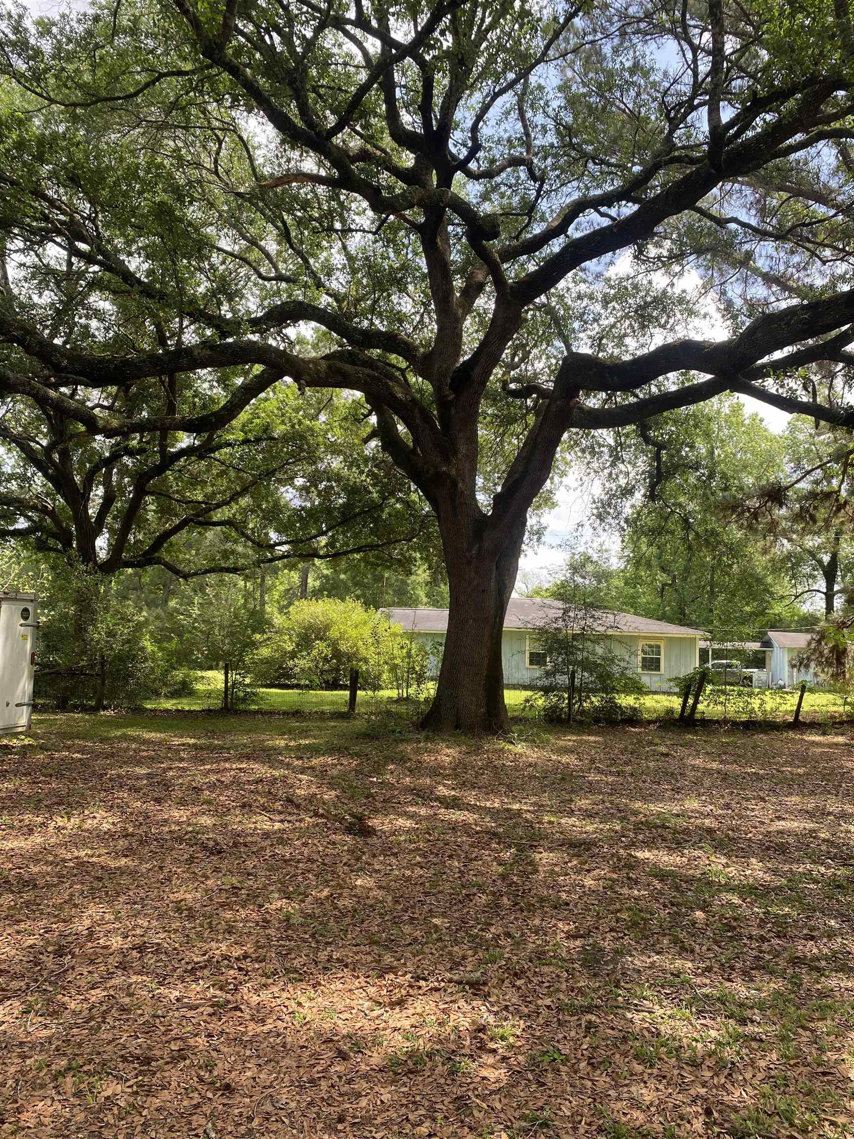 8456 McGallion Road Silsbee, TX 77656 - Photo 18 of 20
