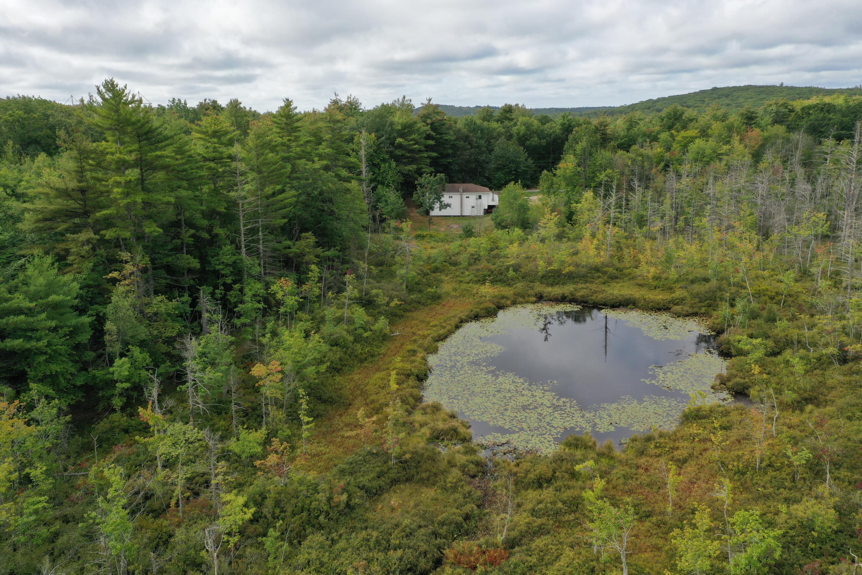 482 Hooper Road Shapleigh, ME 04076 - Photo 10 of 25 Rear with pond