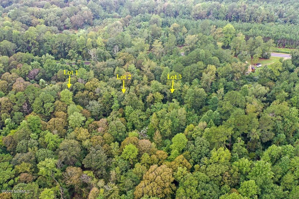 0 Johnson Nursery Road Willard, NC 28478 - Photo 4 of 7 20200909-DJI_0807