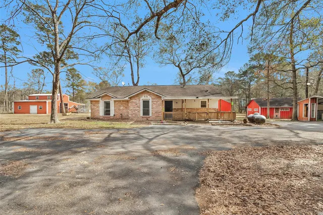 a view of road with large trees