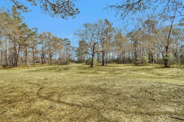 a view of outdoor space with garden view