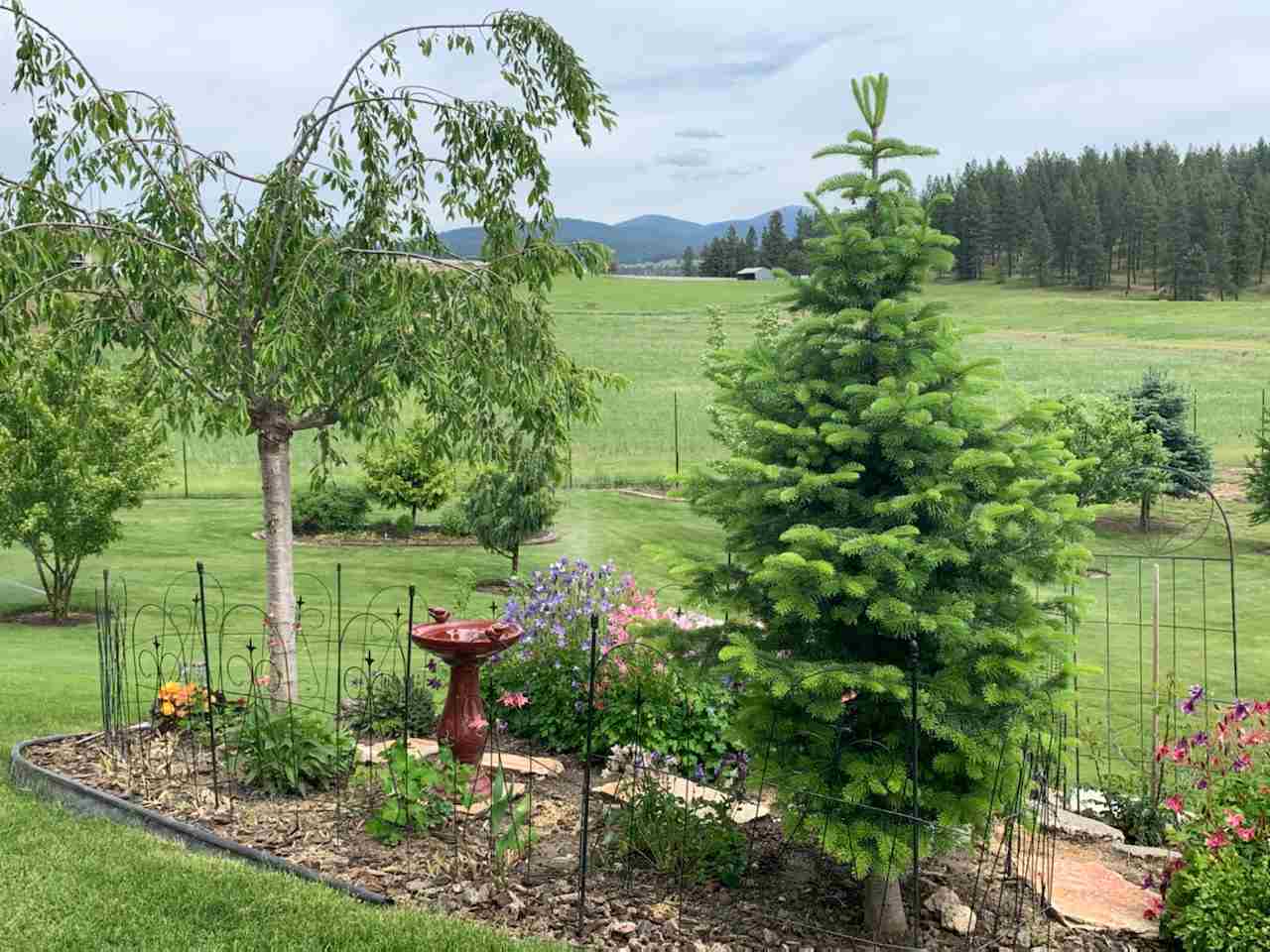 16404 North Madison Road Mead, WA 99021 - Photo 35 of 38