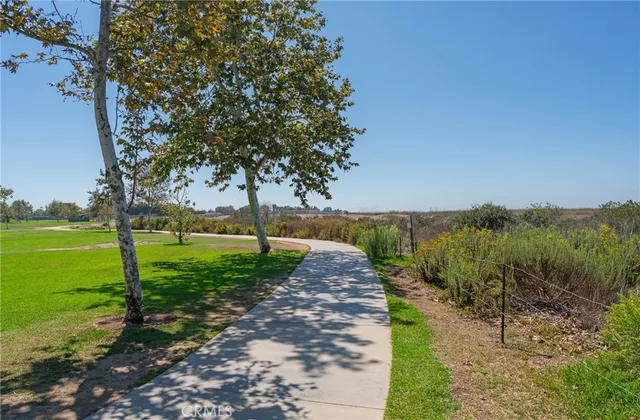 a view of a garden with large trees