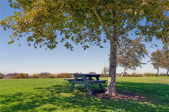 a view of a garden with a tree