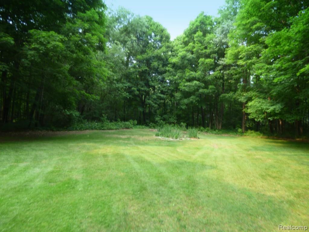 11483 Mcgregor Road Pinckney, MI 48169 - Photo 2 of 26 2 ACREAGE.jpg