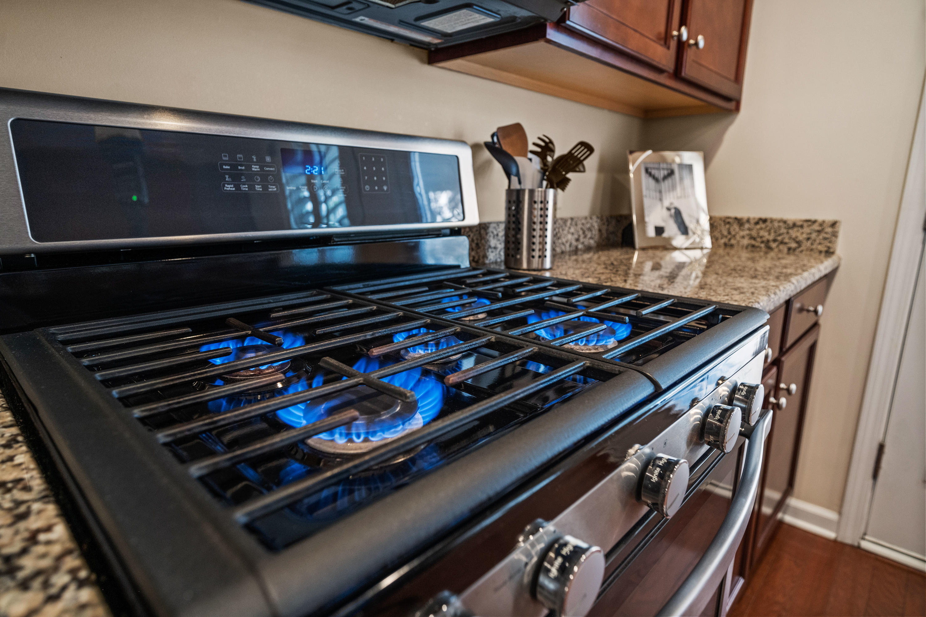 126 Brookhaven Road Summerville, SC 29486 - Photo 12 of 49 GAS RANGE