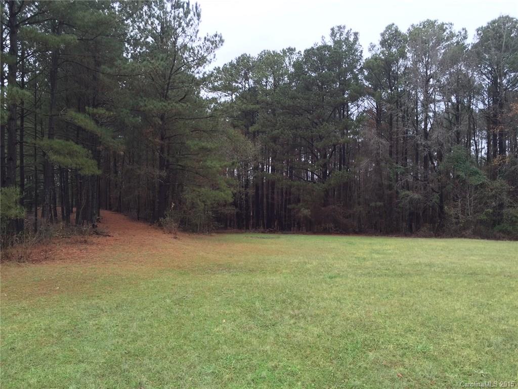 194 Old Ruby Road Morven, NC 28119 - Photo 5 of 17 a backyard of a house with trees