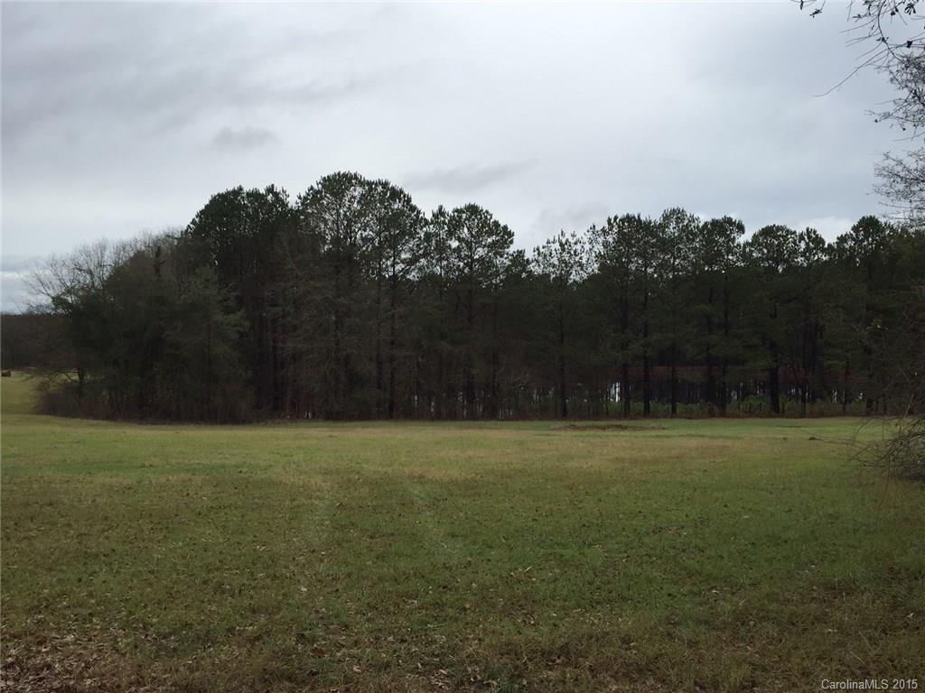 194 Old Ruby Road Morven, NC 28119 - Photo 7 of 17 a view of outdoor space and yard
