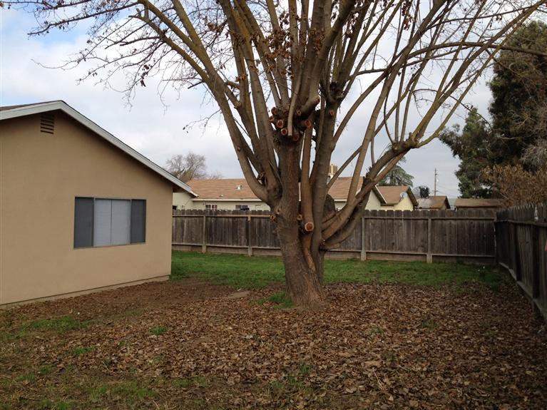 40322 Robert Road Cutler, CA 93615 - Photo 29 of 30 Gallery Image 29