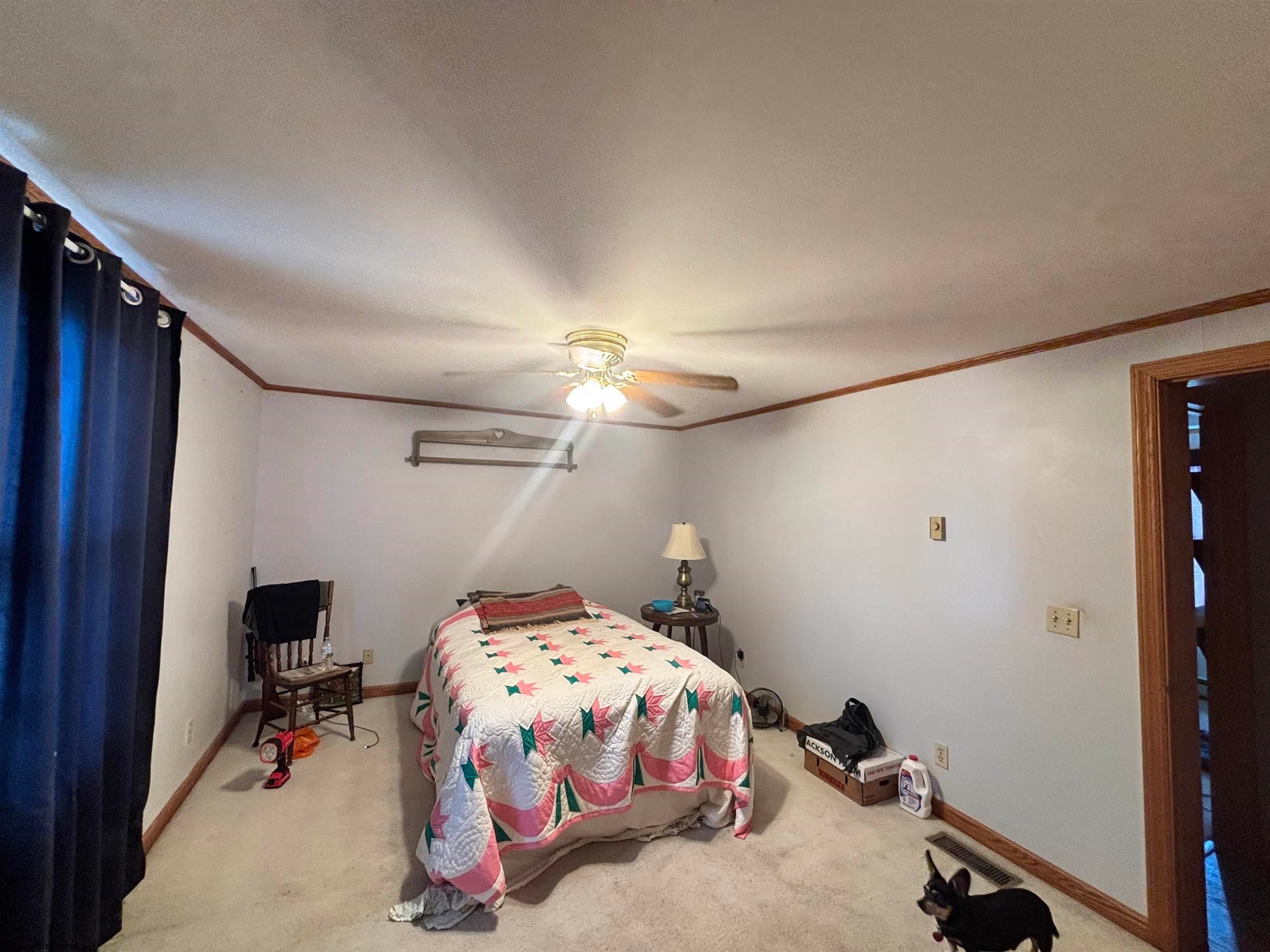 395 Trinity Road Belington, WV 26250 - Photo 13 of 37 Gallery Image 13