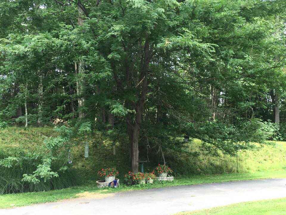 48 Lord Brook Road Rindge, NH 03461 - Photo 32 of 35