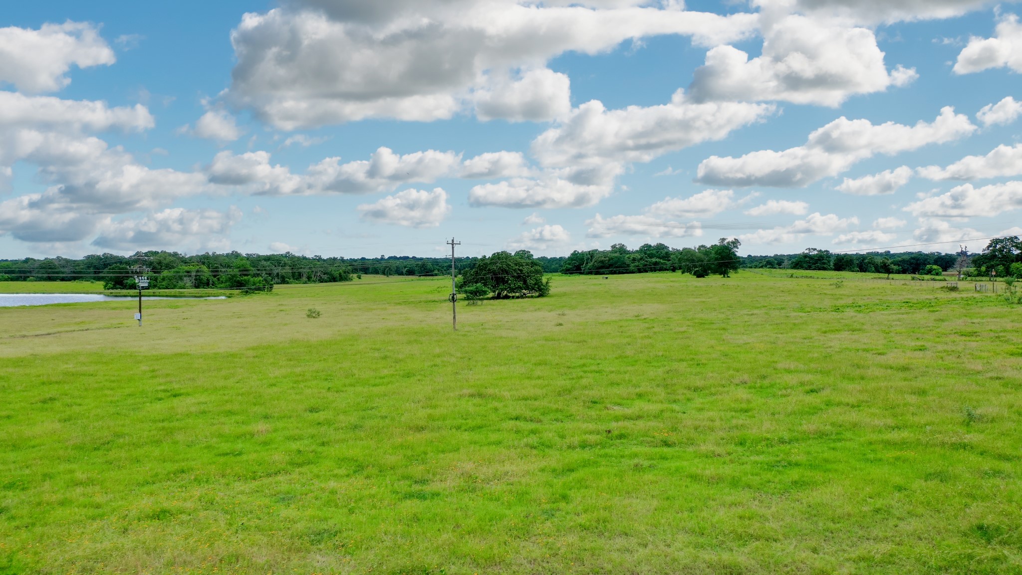 0 Pleasant Grove Road Iola, TX 77861 - Photo 9 of 18 a view of a city