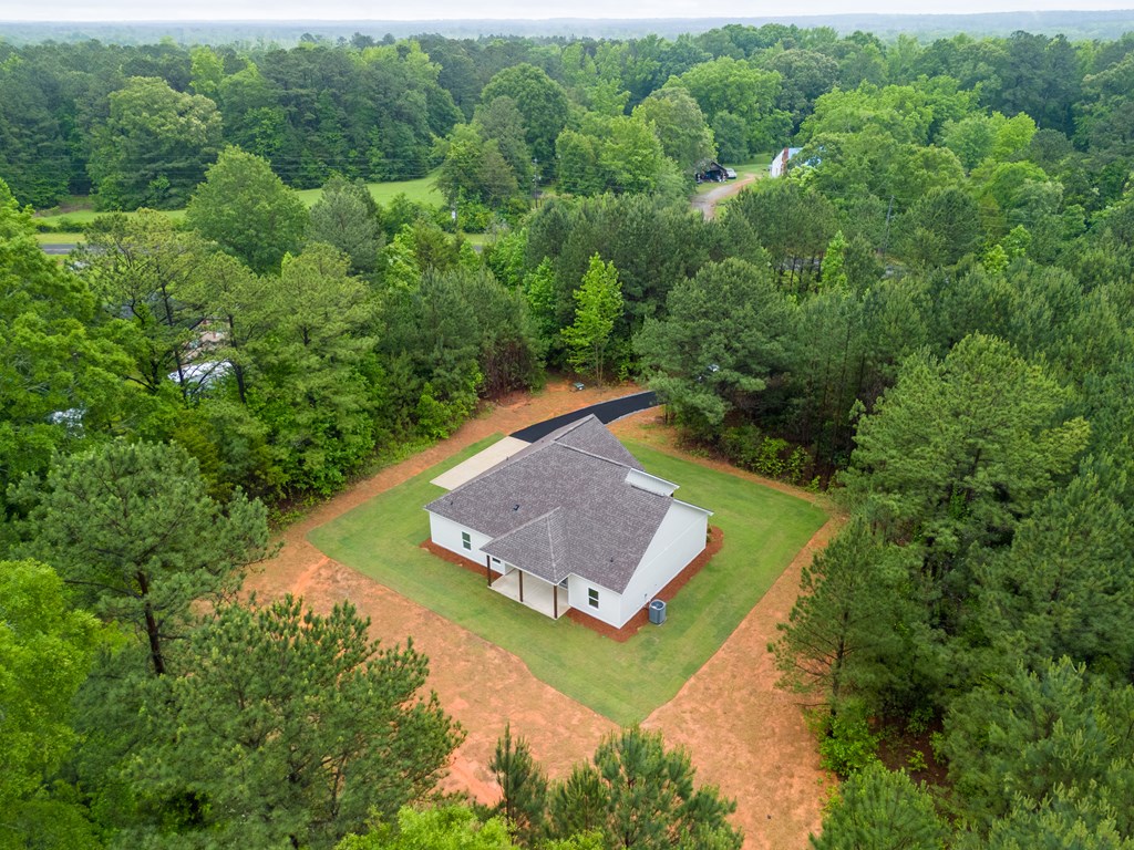 4377 Fortune Hole Road East Hamilton, GA 31811 - Photo 22 of 22 Gallery Image 22