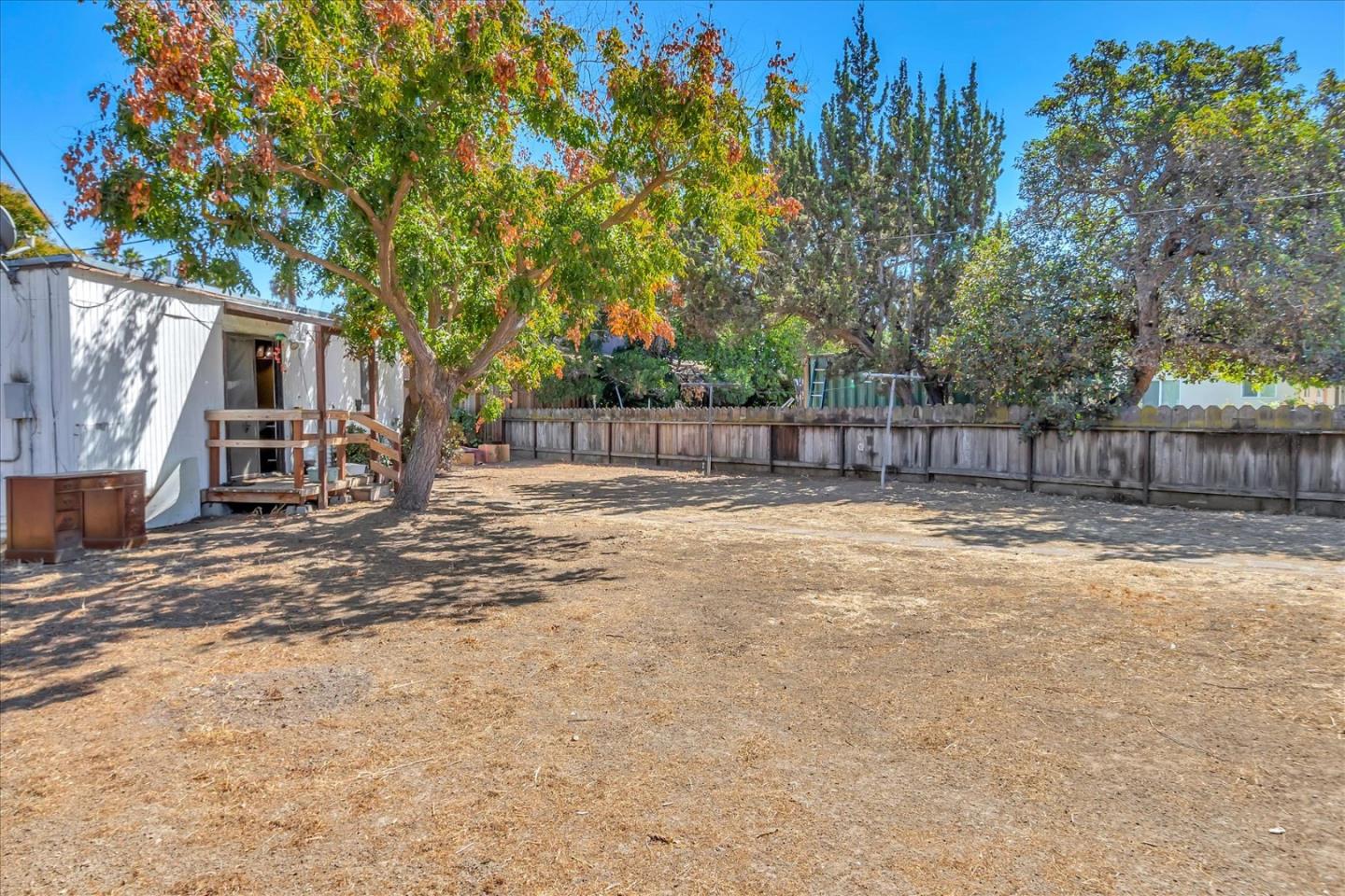 1290 Hoffman Lane Campbell, CA 95008 - Photo 4 of 5 a view of a backyard with large tree and wooden fence