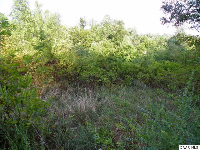 North Powells Island Road Somerset, VA 22972 - Photo 3 of 3 Gallery Image 3
