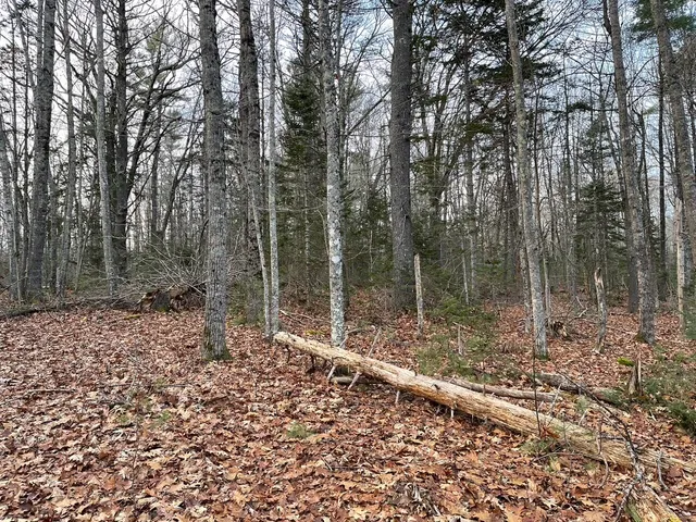 $60,900 | 223 Priest Road, Northport, ME 04849