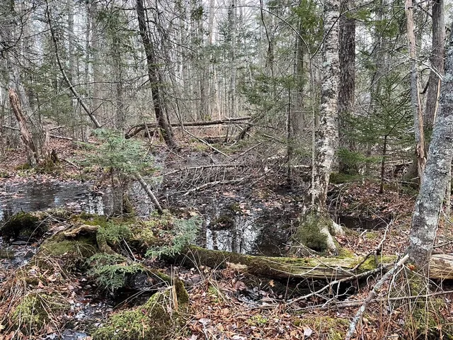 $60,900 | 223 Priest Road, Northport, ME 04849