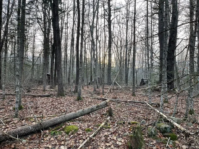 $60,900 | 223 Priest Road, Northport, ME 04849