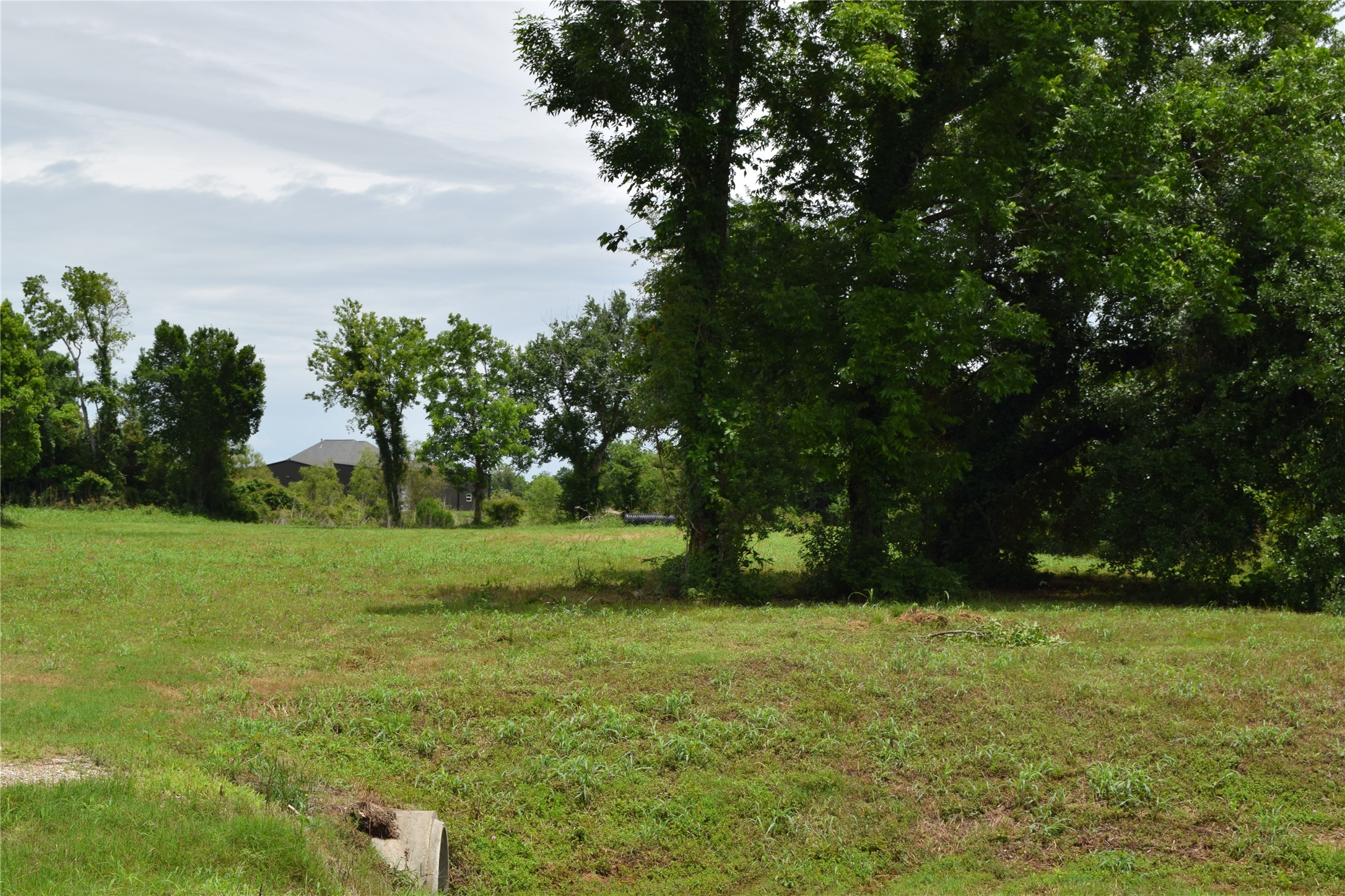 22819 Pittman Drive Angleton, TX 77515 - Photo 11 of 15 Right side of the property from the driveway