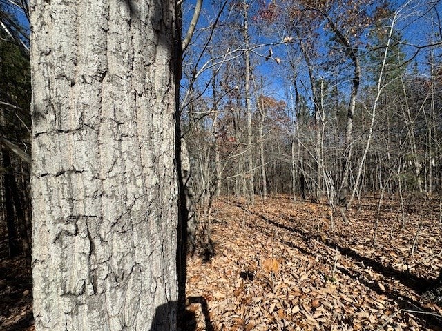 Chestnut Grove Road Appomattox, VA 24522 - Photo 2 of 8 Gallery Image 2