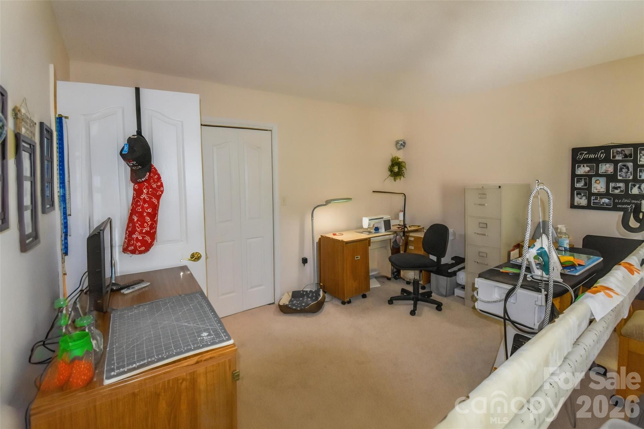 548 Thunder Road Brevard, NC 28712 - Photo 28 of 47
