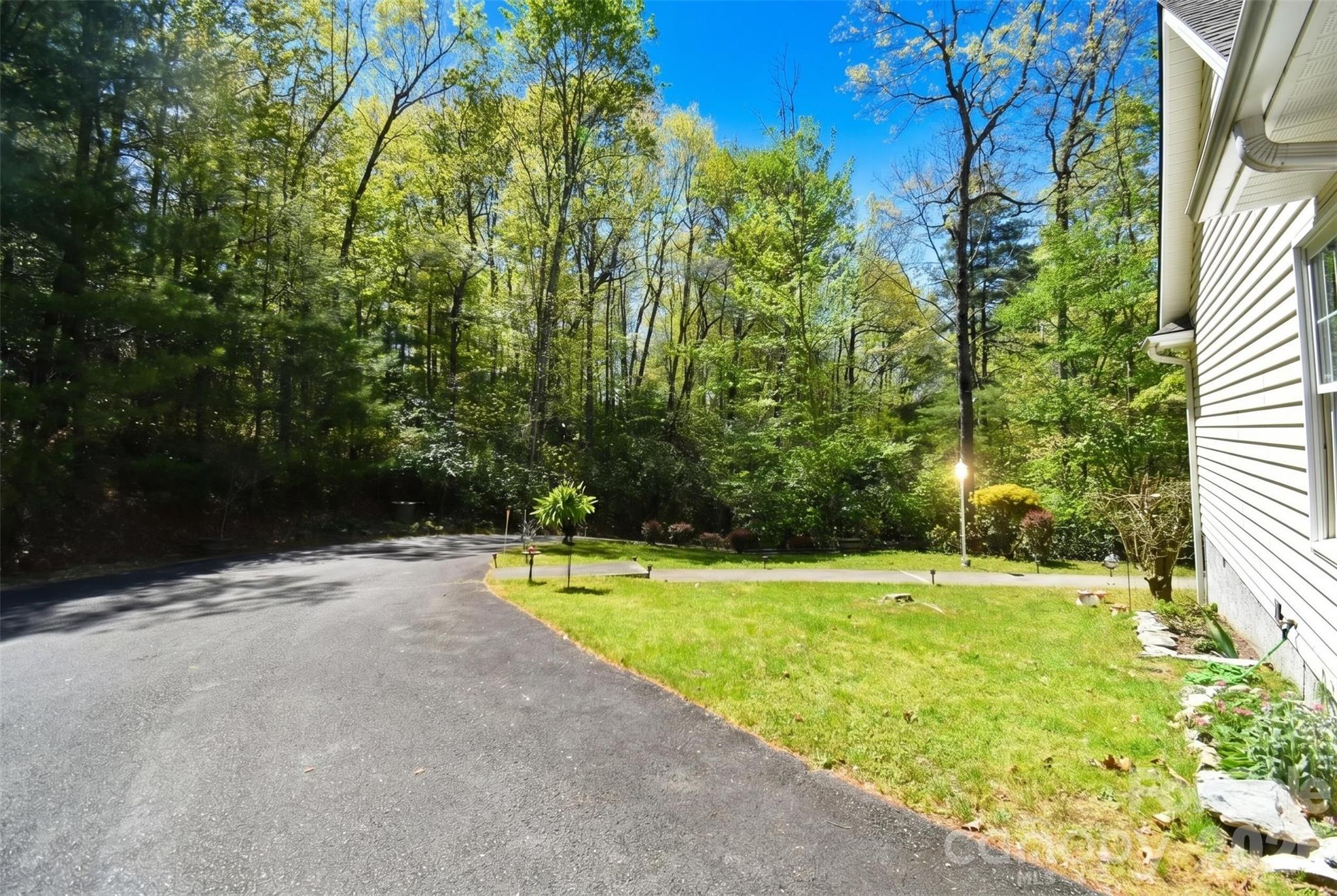 548 Thunder Road Brevard, NC 28712 - Photo 40 of 47