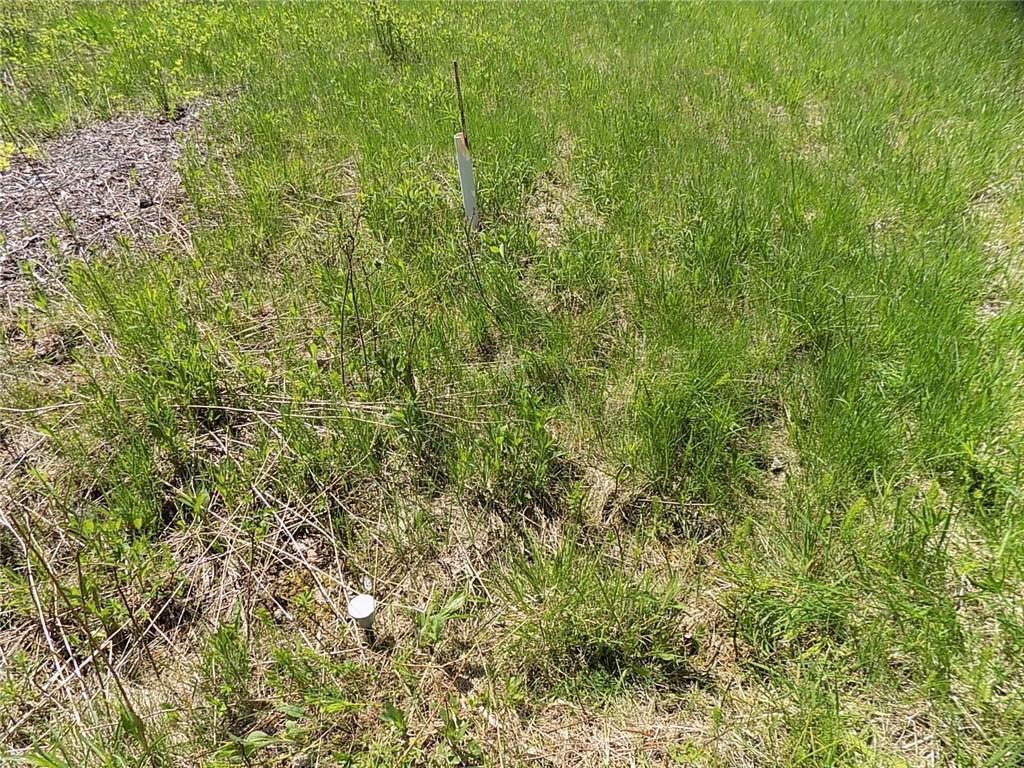 Lot 80 Lyons Road Lubec, ME 04652 - Photo 23 of 29 This pin is on the right roadside corner