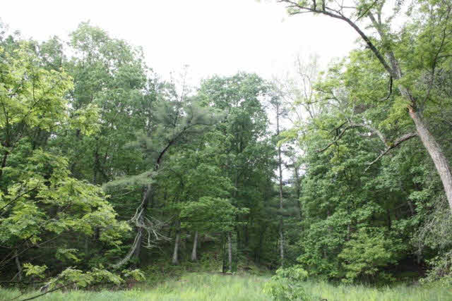 0 Lindhaven Road Broadway, VA 22815 - Photo 1 of 1 Gallery Image 1