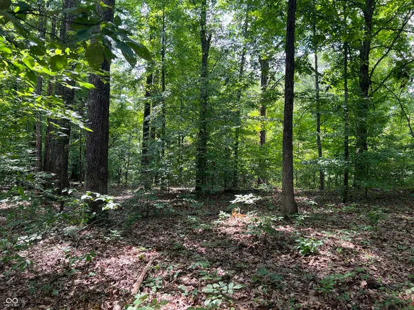 $50,000 | 3501 Swartz Ridge Road, Bloomington, IN 47401