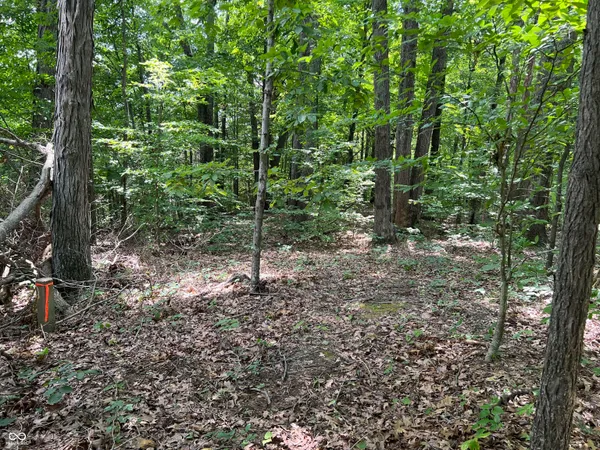 $50,000 | 3501 Swartz Ridge Road, Bloomington, IN 47401