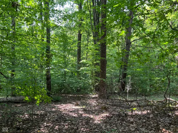 $50,000 | 3501 Swartz Ridge Road, Bloomington, IN 47401