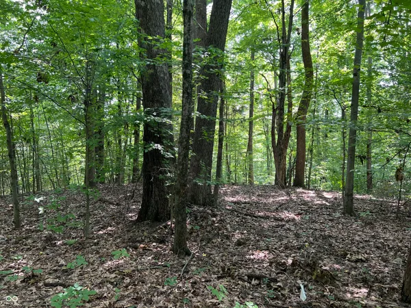 $50,000 | 3501 Swartz Ridge Road, Bloomington, IN 47401