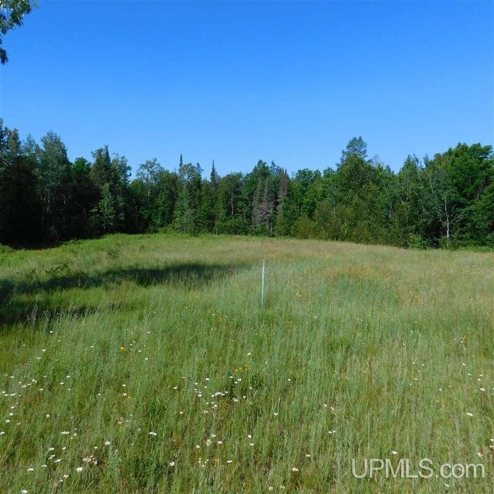 Tbd Tbd Off Fox Farm Road Hermansville, MI 49847 - Photo 7 of 12
