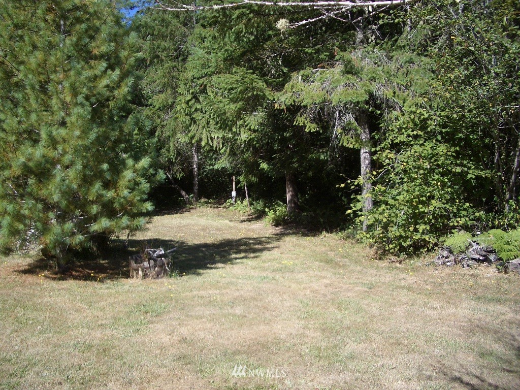 41 East Lighthouse Road Shelton, WA 98584 - Photo 20 of 25 Gallery Image 20