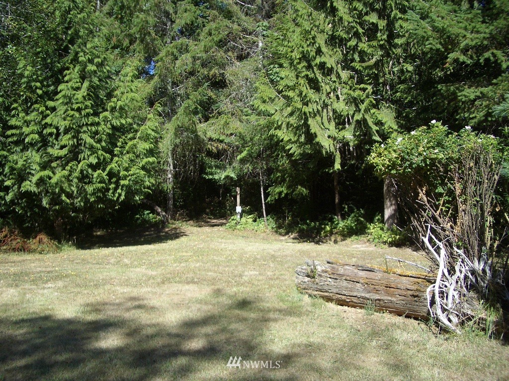 41 East Lighthouse Road Shelton, WA 98584 - Photo 21 of 25 Gallery Image 21
