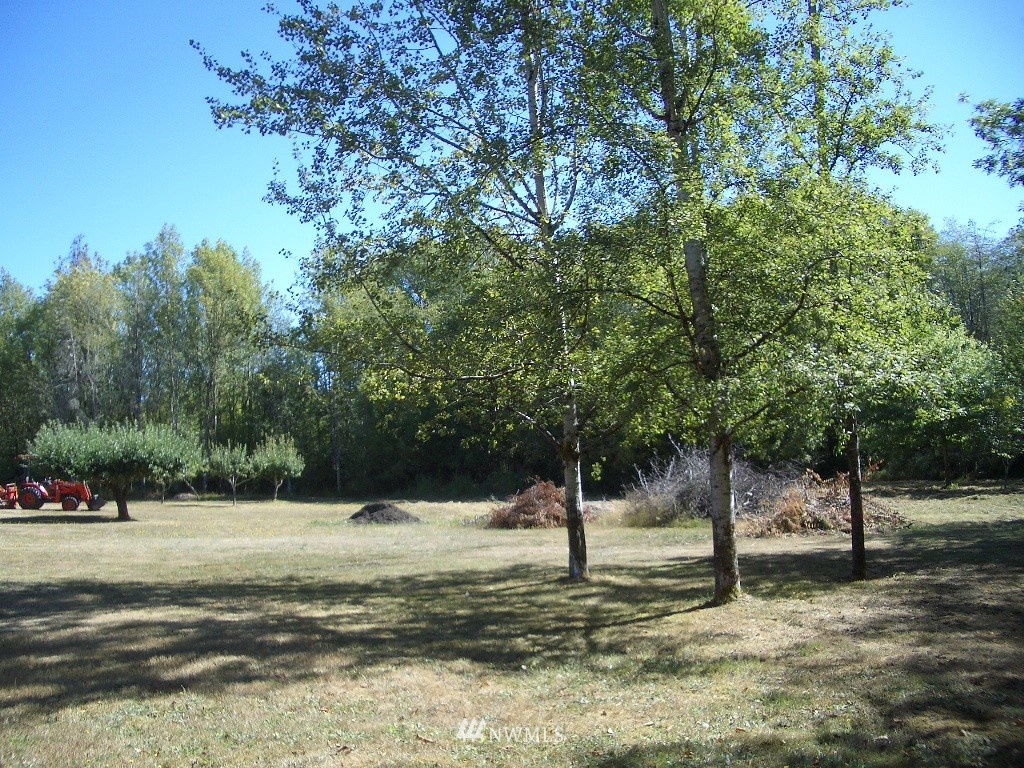 41 East Lighthouse Road Shelton, WA 98584 - Photo 23 of 25 Gallery Image 23